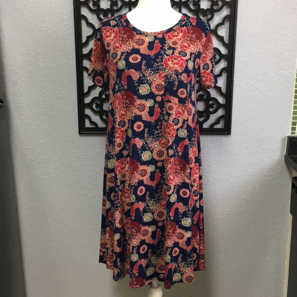 LuLaRoe XS Carly *Generously Sized*